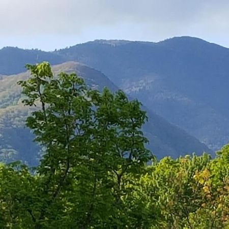 Mountain Serenity 개틀린버그 외부 사진